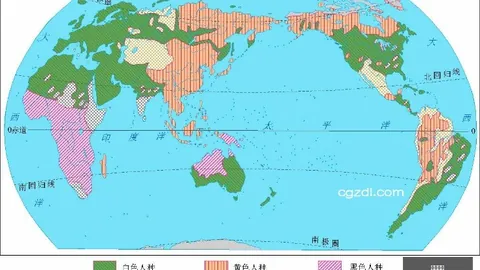 拜仁慕尼黑战胜柏林赫塔，重返德甲榜首领先地位